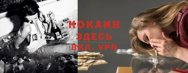 a pvp Белокуриха
