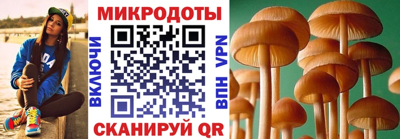 кракен рабочий сайт  Сухой Лог  Псилоцибиновые грибы Magic Shrooms 